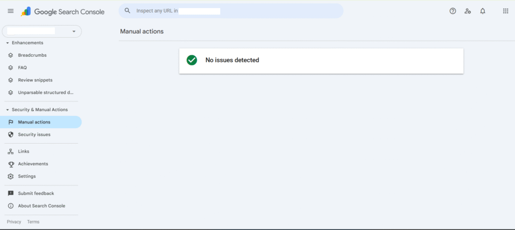  Security & Manual Actions